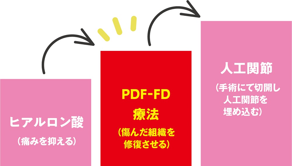 PDF-FD療法　立ち位置