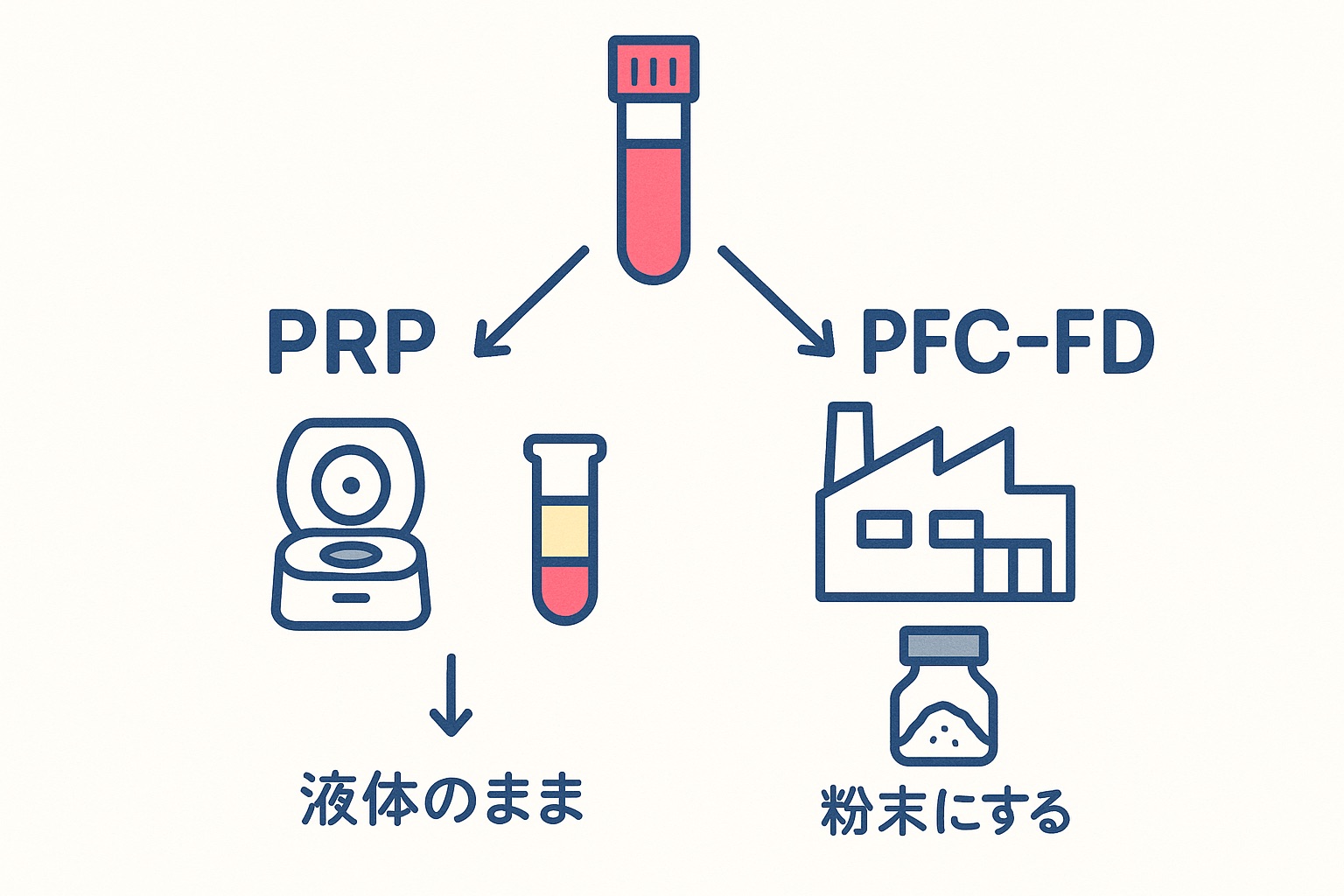 同じ採血管から左右に枝分かれし、左は遠心分離して液体のまま使うPRP、右は加工施設で成分を取り出して粉末にするPFC-FDを示した模式図